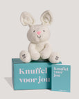 Nijntje het konijn (met geluid)