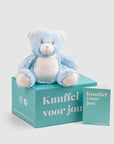 Knuffelbeer jongen